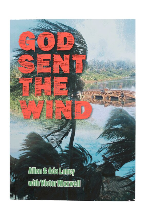 Portada del libro God Sent the Wind